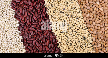 Getrocknete Bohnen, von links, Gartenbohnen oder weiße Bohnen, rote Kidney-Bohnen oder roter Riese, Black Eyed Beans oder Black Eyed Peas und Pinto. Stockfoto