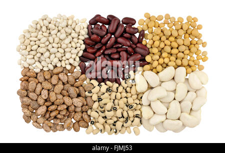 Getrocknete Bohnen, von oben links, Gartenbohnen oder weiße Bohnen, rote Kidney-Bohnen oder roter Riese, Soja, unten, Pinto, Black Eyed, Butter Bohnen. Stockfoto