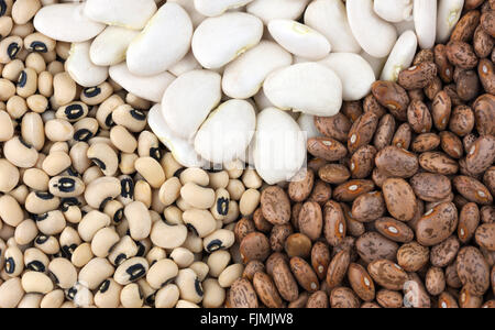 Getrocknete Bohnen Auswahl, weiße Butterbohnen, Black Eyed Beans auch genannt Black Eyed Peas, links und Pinto-Bohnen, rechts. Stockfoto