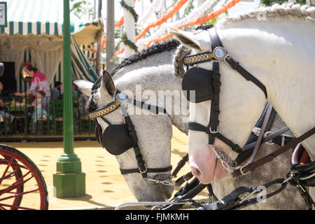 Sevilla, Spanien - 23. April 2015: Pferdekutsche auf der Messe von Sevilla. Stockfoto