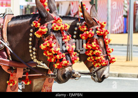 Sevilla, Spanien - 28. April 2015: Pferdekutsche auf der Messe von Sevilla. Stockfoto