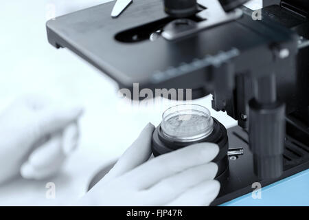 Nahaufnahme von Hand mit Mikroskop und Puder Probe Stockfoto