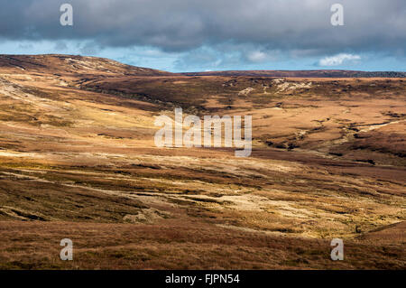 Weite Moorlandschaften auf Bleaklow in der Nähe von Glossop in Derbyshire. Stockfoto