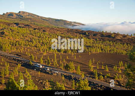 Geographie/Reisen, Spanien, Teneriffa, Landschaften, Blick vom Mirador de Chio an der Straße durch den Nationalpark Teide, Additional-Rights - Clearance-Info - Not-Available Stockfoto