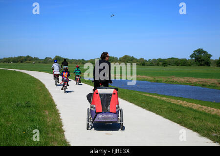 Biker auf Fluss Elbe-Radweg, Elbradweg, in der Nähe von Bleckede, Niedersachsen, Deutschland, Europa Stockfoto