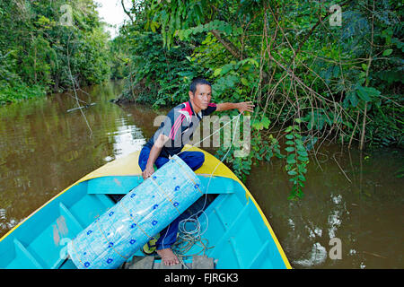 Fischer mit einem Garnelen-Falle am Kinabatangan Fluss. Sabah, Borneo, Malaysia. Stockfoto