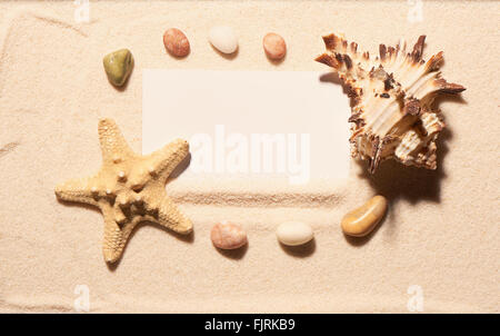 Leere weiße Visitenkarte im Rahmen der Seesterne, Muscheln und Steinen auf Sand. Sommer Strand Hintergrund. Ansicht von oben Stockfoto