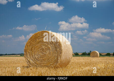 Stoppelfeld mit Stroh-Ballen, abgeernteten Kornfeld im Sommer, in der Nähe von Meißen, Sachsen, Deutschland Stockfoto