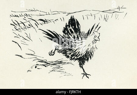 Henny Penny, englische Märchen. Henny Penny zurückläuft um ein Ei zu legen den Fuchs zu entkommen. Illustration von Arthur Rackham (1867-1939) Stockfoto