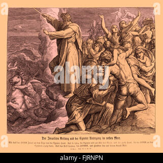 Die Teilung des Roten Meeres, Exodus Kapitel XIV Verse 30-31 "damit der Herr Israel gerettet, die täglich aus der Hand der Ägypter; und Israel sahen die Ägypter tot auf der Küste. Und Israel sah, dass große Arbeit, die der Herr bei den Ägyptern getan hat: und das Volk des Herrn gefürchtet und glaubte dem Herrn und seinem Diener Moses. " 1852-60 Illustration von Julius Schnorr von Carolsfeld Stockfoto