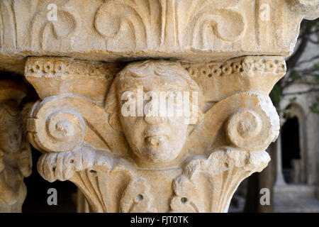 Romanische Kapital oder Schnitzen einer Fläche im Kreuzgang der Kirche von Saint-Trophime Arles Provence Frankreich Stockfoto