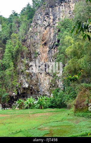 LEMO ist Klippen und Höhle alte Grabstätte in Tana Toraja. Galerien von Tau-Tau auf Balkon bewachen die Gräber. Im Inneren gibt es eine Colle Stockfoto