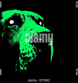 Grüne Hund Stockfoto