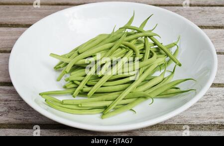 Teller mit grünen Bohnen frisch gepflückt aus dem Gemüsegarten Stockfoto