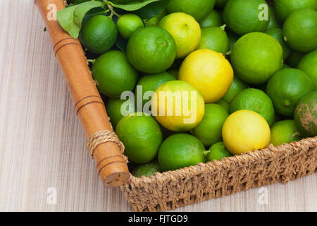 Ein Korb mit frisch Key Limes aus Florida Garten abgeholt. Stockfoto