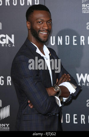 2. März 2016 - Los Angeles, CA, USA - 2. März 2016 - Los Angeles, Kalifornien - Aldis Hodge. '' U '' Los Angeles Premiere statt im The Theatre At The Ace Hotel. Bildnachweis: Winston Burris/AdMedia (Kredit-Bild: © Winston Burris/AdMedia über ZUMA Draht) Stockfoto