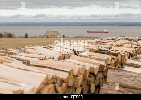 Lange Pfähle geschnittene Brennholz Protokolle, Frachter und Steinhaus in einem Feld auf den St. Lawrence River, Ile d ' Orleans, Quebec, Kanada. Stockfoto