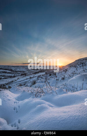 Kaninchen-Spuren von Farndale Stockfoto