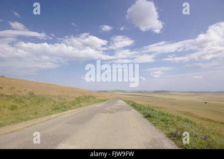 Straße in der Steppe in der Nähe von David Gareja Kloster, Georgia Stockfoto