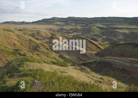 Steppe in der Nähe von David Gareja Kloster, Georgia Stockfoto