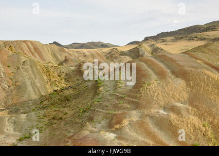 Steppe in der Nähe von David Gareja Kloster, Georgia Stockfoto