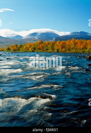 Abisko Fluss im Abisko Nationalpark in Schwedisch-Lappland Stockfoto