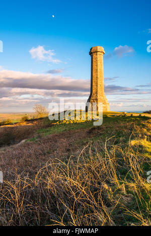 Hardys Denkmal auf schwarzer unten in der Nähe von Portesham in Dorset, Großbritannien Stockfoto