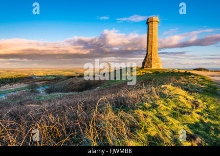 Hardys Denkmal auf schwarzer unten in der Nähe von Portesham in Dorset, Großbritannien Stockfoto