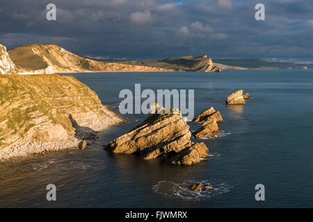 MUPE Bay Blick auf Warbarrow Bay auf der Lulworth Armee Range auf Dorset Jurassic Coast, ein UNESCO-Weltkulturerbe. Stockfoto