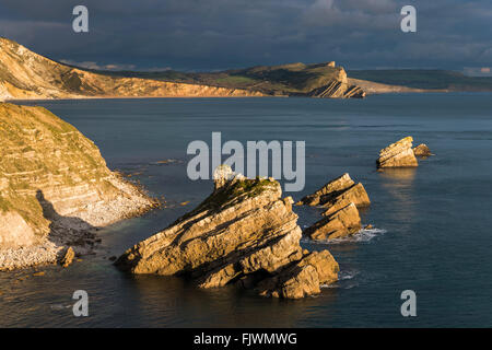 MUPE Bay Blick auf Warbarrow Bay auf der Lulworth Armee Range auf Dorset Jurassic Coast, ein UNESCO-Weltkulturerbe. Stockfoto