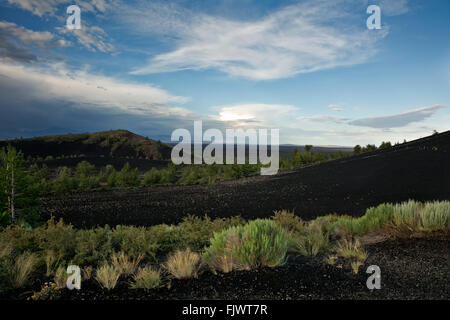 ID00483-00... IDAHO - Blick über den Bimsstein bedeckt Schlackenkegel seitens des Inferno-Kegel im Krater des Mondes National Mo Stockfoto