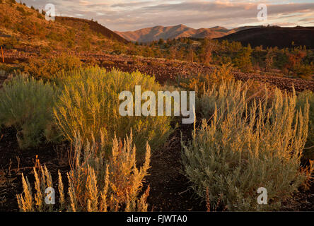 IDAHO - Sonnenaufgang Farben auf dem Bimsstein-Feld unter den Inferno-Kegel im Krater des Moon National Monument and Preserve. Stockfoto