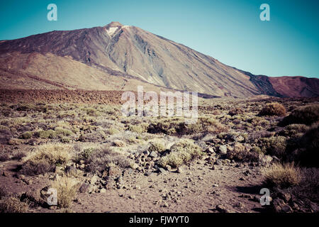 Nationalpark El Teide, Teneriffa, Kanarische Inseln, Spanien Stockfoto