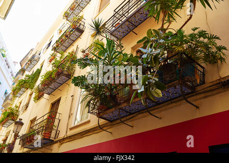 Valencia Barrio del Carmen Straße Fassaden in Spanien Stockfoto