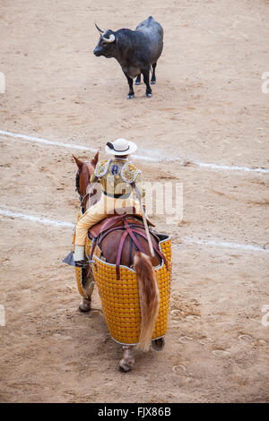 Berittene Stierkämpfer, Picador. Las Ventas Stierkampfarena, Madrid, Spanien Stockfoto