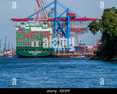 Containerschiff "Ever Strong" von Evergreen am HHLA Burchardkai im Hamburger Hafen festgemacht Stockfoto