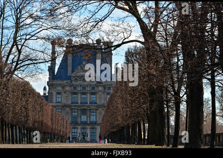 Jardin des Tuileries in Paris, Blick Richtung Gebäude mit Bäumen gesäumten Weg Stockfoto