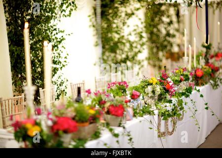 Hochzeit, Veranstaltung, Bankett oder besonderen Anlass Tisch Dekoration und Blumen, Tisch, Braut, Bräutigam, Gänseblümchen & Rosen Stockfoto