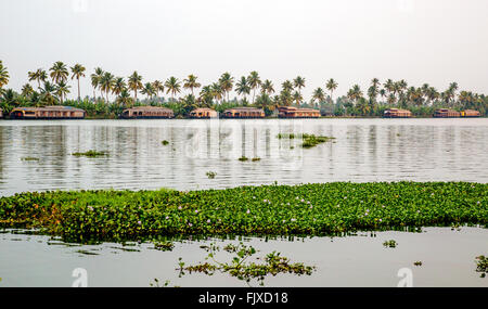 Hausboote in der Dämmerung auf den Backwaters Kerala Indien Stockfoto