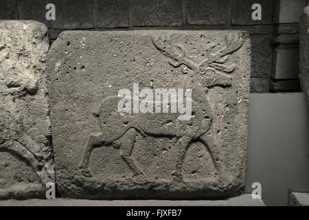 Hirsch Hirsch mit Geweih. Schnitzen von Carchemish Basalt 8C BC. Museum für Anatolische Zivilisationen, Ankara, Türkei Stockfoto