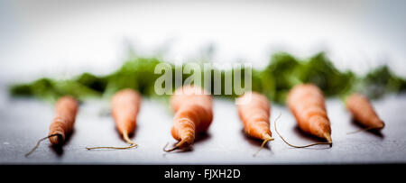 Sechs holländische süße Karotten auf hell strukturierten Stein Hintergrund. Äußerst geringe Schärfentiefe. Stockfoto