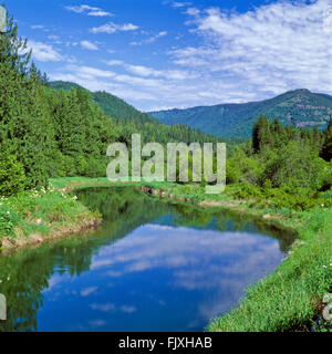 Bull-Fluss unterhalb der Schrank Berge in der Nähe von Noxon, montana Stockfoto