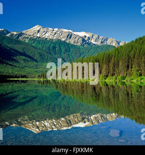 nördlichen Berge spiegeln sich in Stanton See in der Wildnis der große Bär in der Nähe von Essex, montana Stockfoto