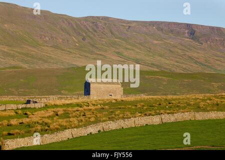 Hallerstang Rand. Scheune und Trockenmauern Wände. Blick von Wharton fiel, Kirkby Stephen, Eden District, Eden Valley, Cumbria, Yorkshi Stockfoto
