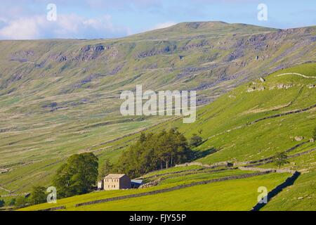 Yorkshire Dales National Park. Umgebaute Scheune am Hang. Hawes, Yorkshire, England, Vereinigtes Königreich, Europa. Stockfoto