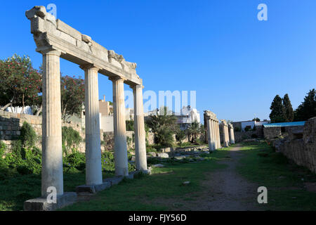 Spalten der alten hellenistischen Gymnasium, Xisto, Kos Stadt, Insel Kos, Dodekanes Gruppe von Inseln, Süd Ägäis, Griechenland Stockfoto