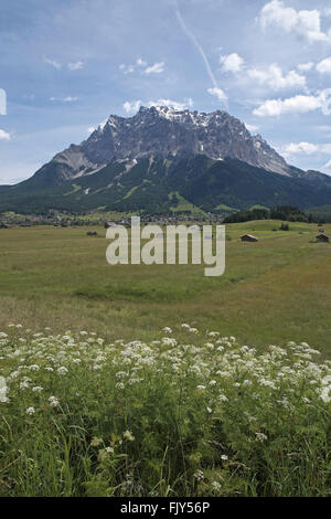 Zugspitzmassiv von Westen über Wilde Blumenwiese und Ehrwald, österreichische Alpen, Österreich. Stockfoto