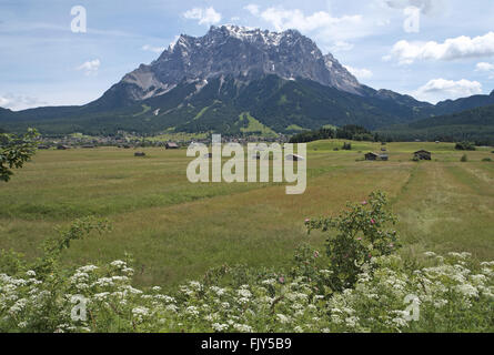 Zugspitzmassiv von Westen über Wilde Blumenwiese und Ehrwald, österreichische Alpen, Österreich. Stockfoto