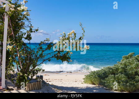 Blick auf den Strand bei Cockburn Town Grand Turk, Turks- und Caicosinseln, British West Indies in der Karibik Stockfoto