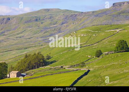 Yorkshire Dales National Park. Umgebaute Scheune am Hang. Hawes, Yorkshire, England, Vereinigtes Königreich, Europa. Stockfoto